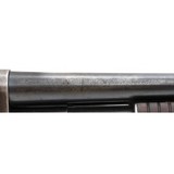 "Winchester 12 Pre-War 12 Gauge (W11902)" - 4 of 7