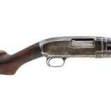 "Winchester 12 Pre-War 12 Gauge (W11902)" - 5 of 7