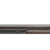 "Winchester 1906 .22LR (W12021)" - 4 of 7