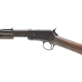 "Winchester 1906 .22LR (W12021)" - 5 of 7