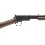 "Winchester 1906 .22LR (W12021)" - 6 of 7