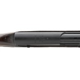 "Russian SKS 7.62x39 (R32313)" - 5 of 6