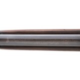 "Winchester 1905 .35 Winchester (W12042)" - 7 of 7