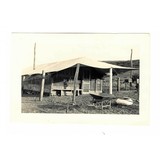 "Photographs Associated with Joseph Earp, the Earp Cabin and Grave Markers (WEC188)" - 4 of 6