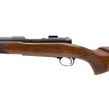 "Pre-64 Winchester 70 Varmint .243 Win. (W12046)" - 5 of 5