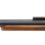 "Pre-64 Winchester 70 Varmint .243 Win. (W12046)" - 4 of 5