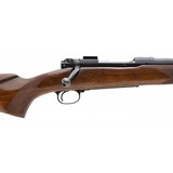 "Pre-64 Winchester 70 Varmint .243 Win. (W12046)" - 3 of 5