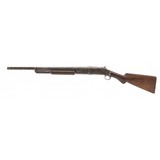 "Winchester 1893 12 Gauge (AW137)" - 5 of 6