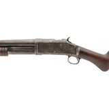 "Winchester 1893 12 Gauge (AW137)" - 4 of 6