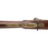 "British Pattern 1853 Enfield Musket (AL5399)" - 4 of 7