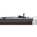 "Henry Frontier Carbine ""Evil Roy"" .22S, L, LR (R32622)" - 3 of 7