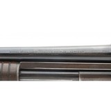 "Winchester 12 Pre-war 12 Gauge (W11909)" - 3 of 6