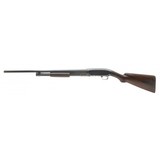 "Winchester 12 Pre-war 12 Gauge (W11909)" - 5 of 6