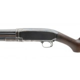"Winchester 12 Pre-war 12 Gauge (W11909)" - 4 of 6