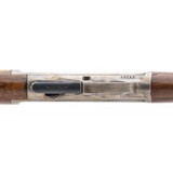 "Winchester 1905 .35 Winchester (W11979)" - 2 of 8