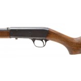 "Remington 24 .22 Short (R32652)" - 4 of 4