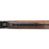 "Winchester 1894 .38-55 (W12063)" - 6 of 7