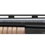"Winchester 120 20 Gauge (W11982)" - 5 of 5