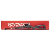 "Winchester Wildcat .22 LR (NGZ2169) NEW" - 4 of 5