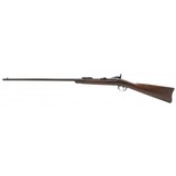 "Springfield 1884 Trapdoor .45-70 Gov. (AL6091)" - 2 of 8