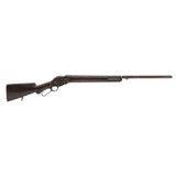 "Winchester 1887 10 Gauge (AW296)"