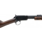 "Winchester 62 .22LR (W11986)" - 5 of 6