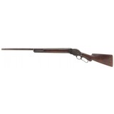 "Winchester 1887 10 Gauge (AW349)" - 6 of 7