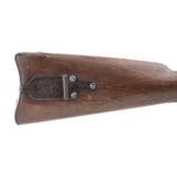 "US Model 1855 by Harpers Ferry Armory (AL5390)" - 8 of 9