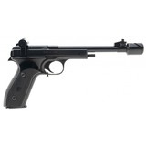 "Margolin MCM .22LR Target Pistol (PR59950)" - 14 of 14