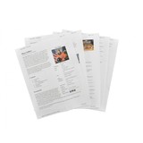 "Thomas Evans Bar Action 12 Gauge (S8752)" - 16 of 16