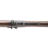 "U.S. Springfield Model 1888 Trapdoor rifle (AL7350)" - 3 of 9