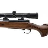 "Winchester 70 Varmint .22-250 (W11920)" - 4 of 4