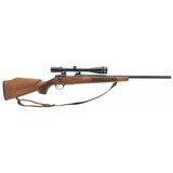 "Sako S491 Varmint .17 Rem (R37816)" - 1 of 4