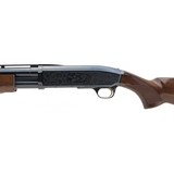 "Browning BPS 10 Gauge (S14582)" - 2 of 4