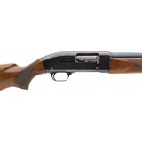 "Winchester 50 Pre-64 12 Gauge (W11996)" - 7 of 7