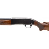 "Winchester 50 Pre-64 12 Gauge (W11996)" - 3 of 7