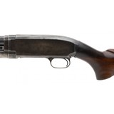 "Winchester 12 12 Gauge (W11998)" - 7 of 7