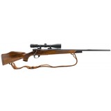"Weatherby Vangaurd .243 Win (R37859)" - 1 of 4