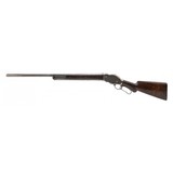 "Winchester Model 1887 10 GA Shotgun (AW342)" - 7 of 7
