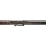 "Engraved G.P. Foster percussion musket (AL7523)" - 7 of 8