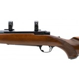"Ruger M77 .257 Roberts (R37901)" - 3 of 4