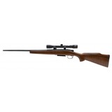 "Remington 788 .243 Win (R37903)" - 4 of 4