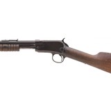 "Winchester 1906 .22LR (W12054)" - 6 of 8