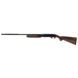 "Remington 870 12 Gauge (S14488)" - 4 of 4
