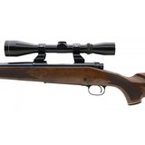 "Winchester 70 .243 Win (W11939)" - 2 of 5