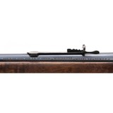"Winchester 94 Pre-64 .30-30 (W11936)" - 6 of 6