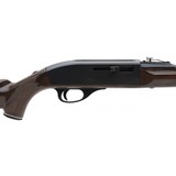"Remington Nylon 66 .22LR (R31792)" - 2 of 4