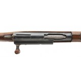 "Swiss 1911 carbine 7.5X55 Swiss (R37964)" - 6 of 6