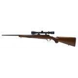 "Ruger M77 .243 Win (R31791)" - 4 of 4