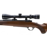 "Ruger M77 .243 Win (R31791)" - 3 of 4